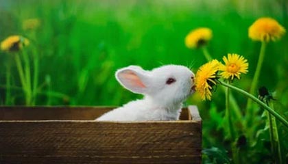 kaiyun网站-那些我们熟悉的欧冠“绝杀场面”图片集，欧冠决赛爆冷