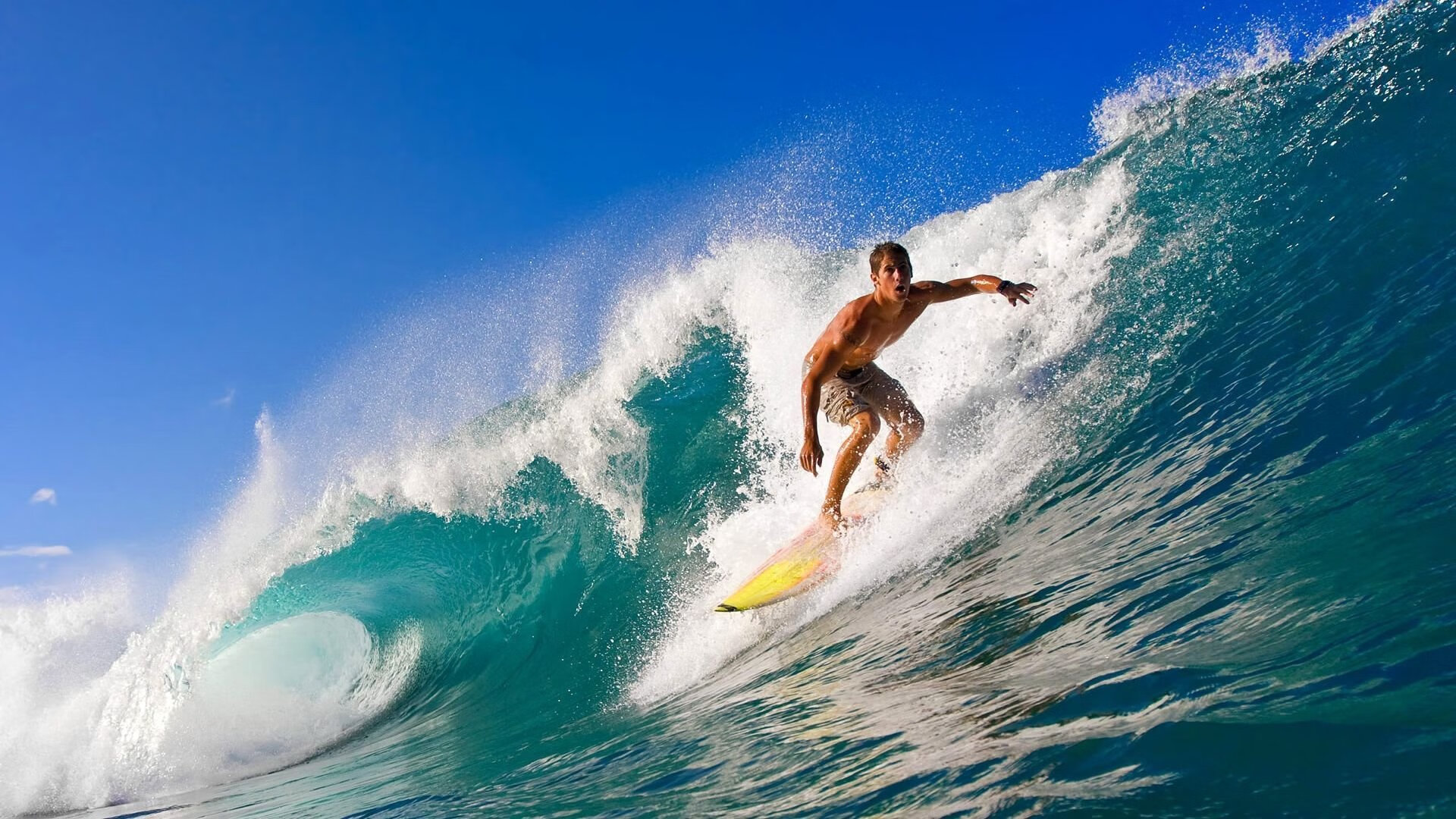 各国特色：不同国家的赛场狂热，各国联赛特点